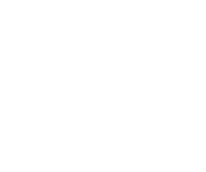 Custom Software Design